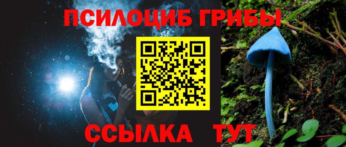купить наркоту  Вход с VPN  Обь  Галлюциногенные грибы прущие грибы 